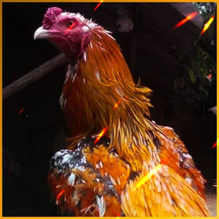 ufabet เข้าสู่ระบบ777 รับความสนุกเต็มที่ ทุกเกมดัง ฝากถอนง่ายได้เงินจริง