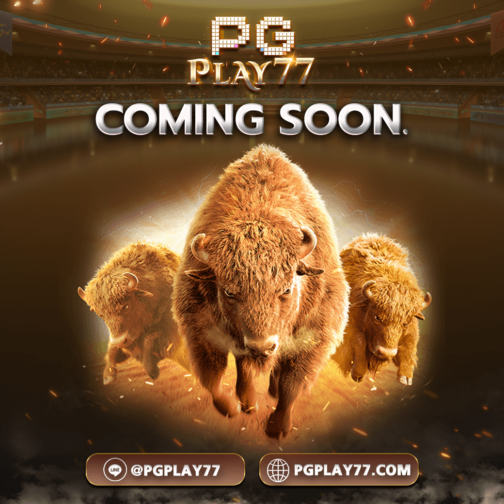 ลอตโต้วีไอพี คาสิโนเปิดใหม่ เว็บตรงแตกง่าย ฝากถอนออโต้ลุ้นรางวัลใหญ่