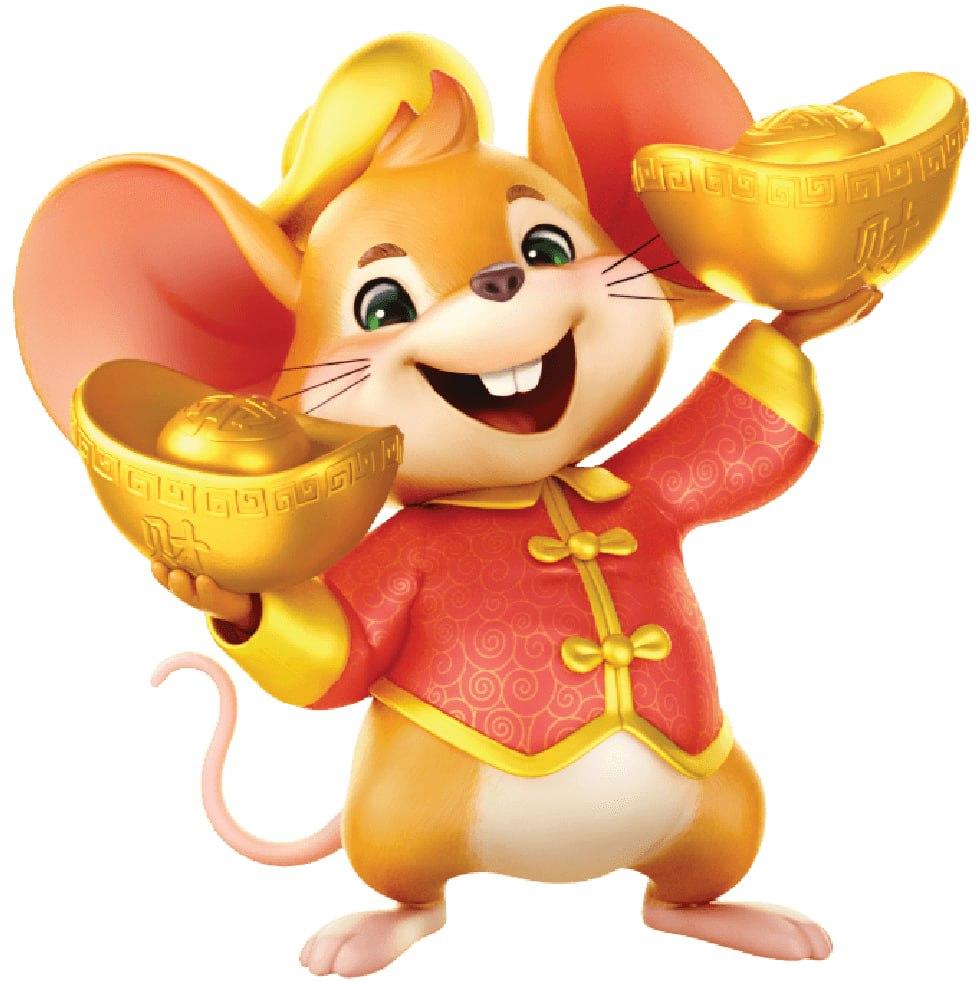 โปรแกรมฟุตบอลวันนี้ทุกลีก พร้อมอัปเดตแม่นยำในไทย