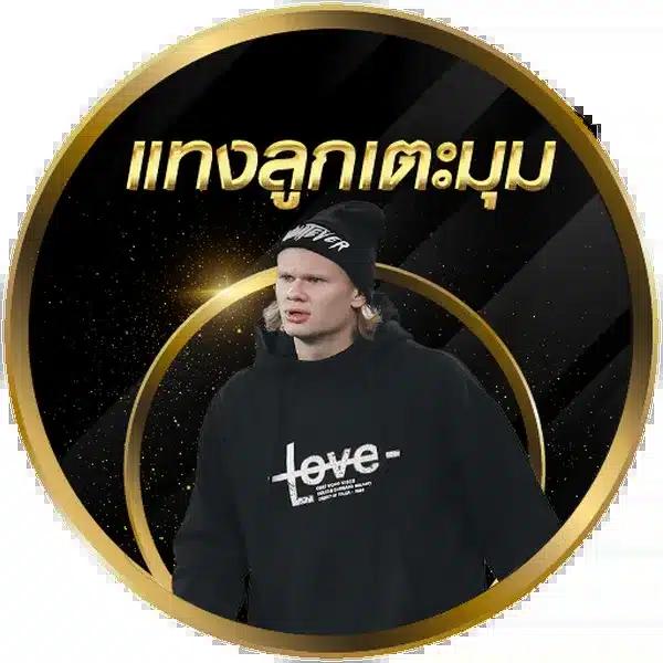 ไทเกอร์88 เว็บตรงคาสิโนออนไลน์ มาตรฐานระดับสูงแห่งปี 2024